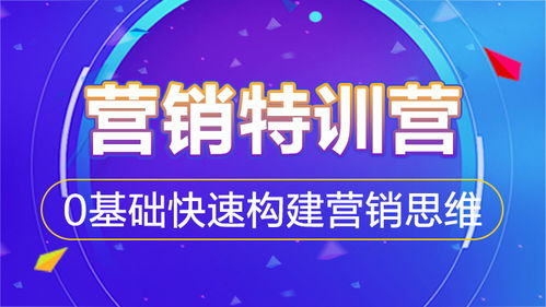 互聯(lián)網(wǎng)營銷特訓(xùn)營 0基礎(chǔ)快速構(gòu)建營銷思維，掌握銷售實(shí)戰(zhàn)